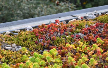 the cost of Eastrop green roof installation
